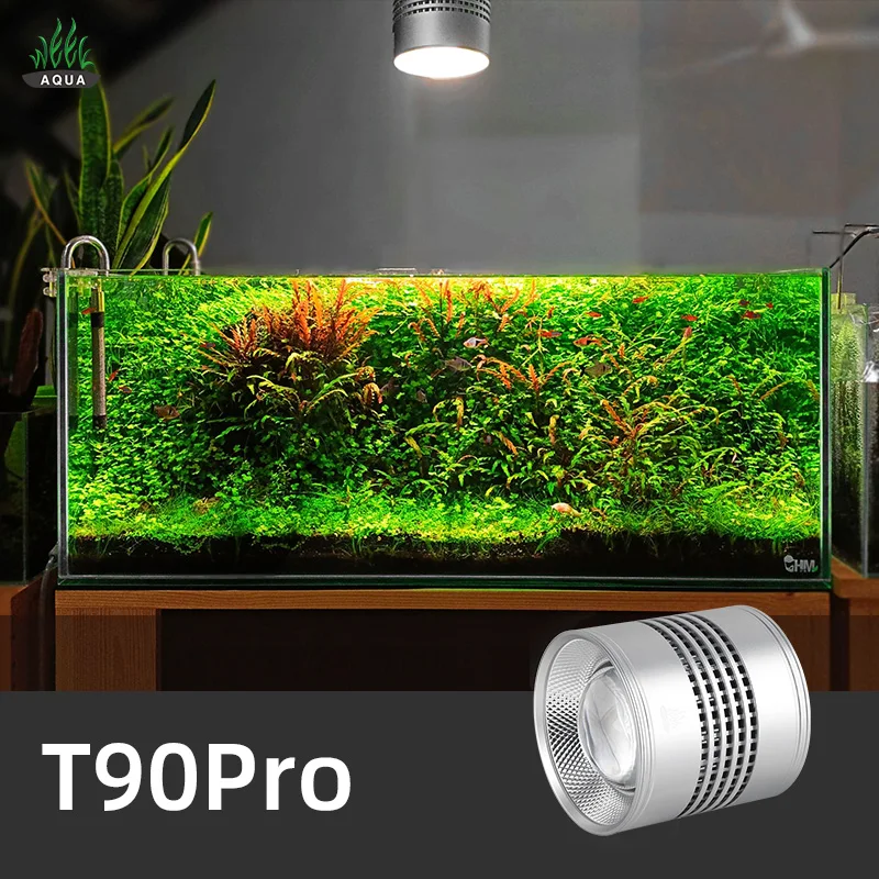 Aquarium Plant Not Growing - أسبوع أكوا T سلسلة T90 برو
