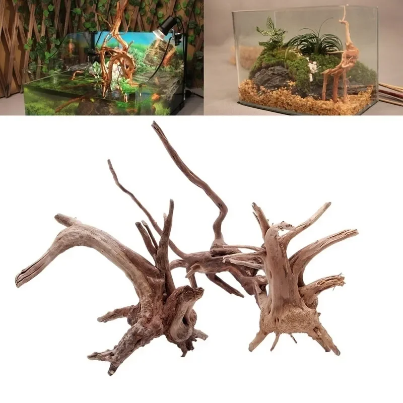 Aquarium Plant Rings - شجرة طبيعية جذع Driftwood لحوض السمك