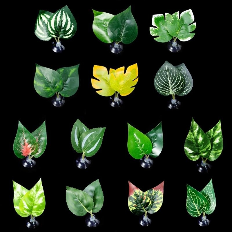 Planted Aquarium Betta - سرير أرجوحة من أوراق السمك لتزيين