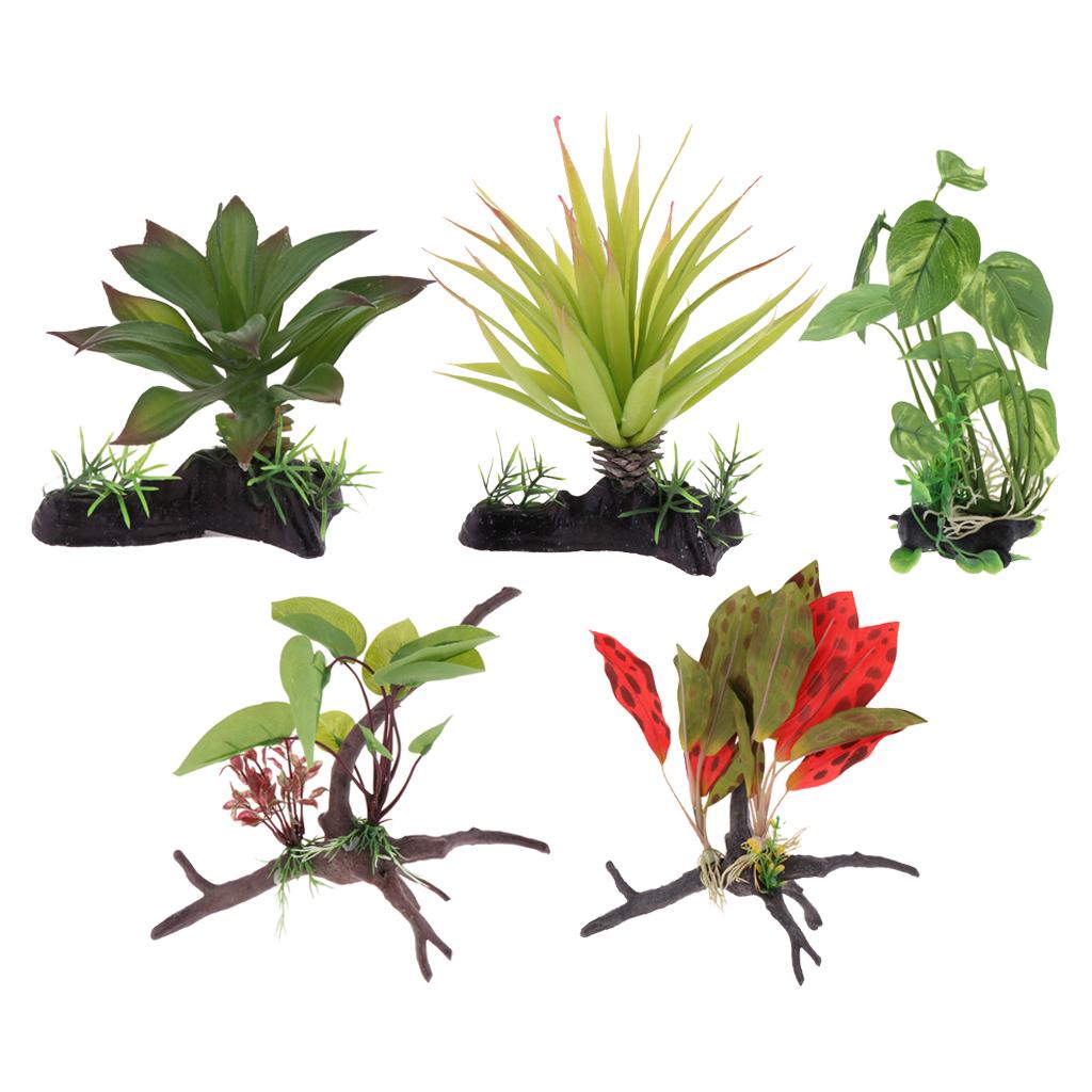 Aquarium Plant Vine - نبات تررم الزواحف لوازم ديكور كرمة
