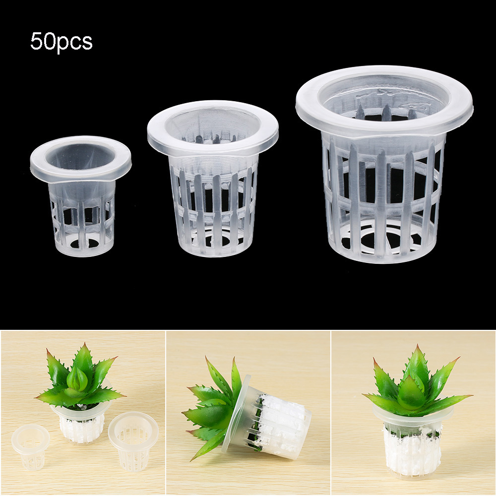 Aquarium Planted Seeds - 10/50 قطعة لوازم الحدائق حوض السمك