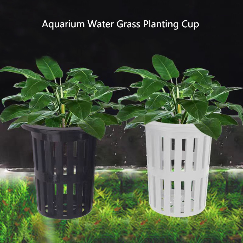 Aquarium Plant Rings - 1/3 قطعة سلة نباتات حوض السمك