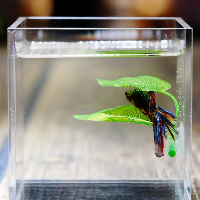 Planted Aquarium Betta - نباتات أوراق صناعية للزينة في أحواض