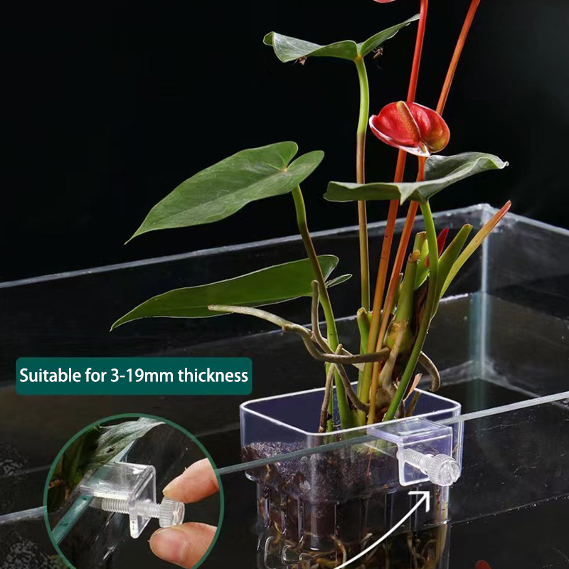 Aquarium For Planted Tank - حوض السمك متعدد الوظائف ، كوب