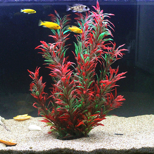 Aquarium For Planted Tank - نباتات اصطناعية نادرة لأحواض السمك بطول