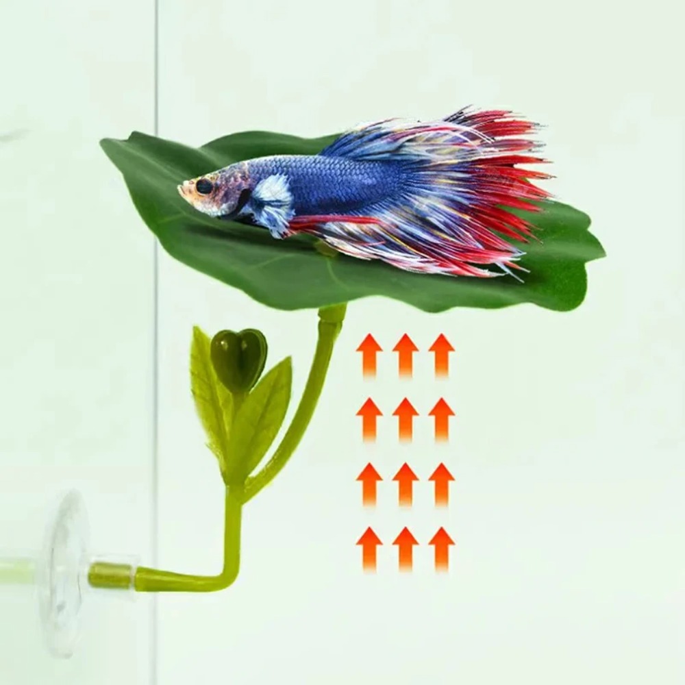 Planted Aquarium Betta - 1 قطعة أرجوحة سمك البيتا ذات
