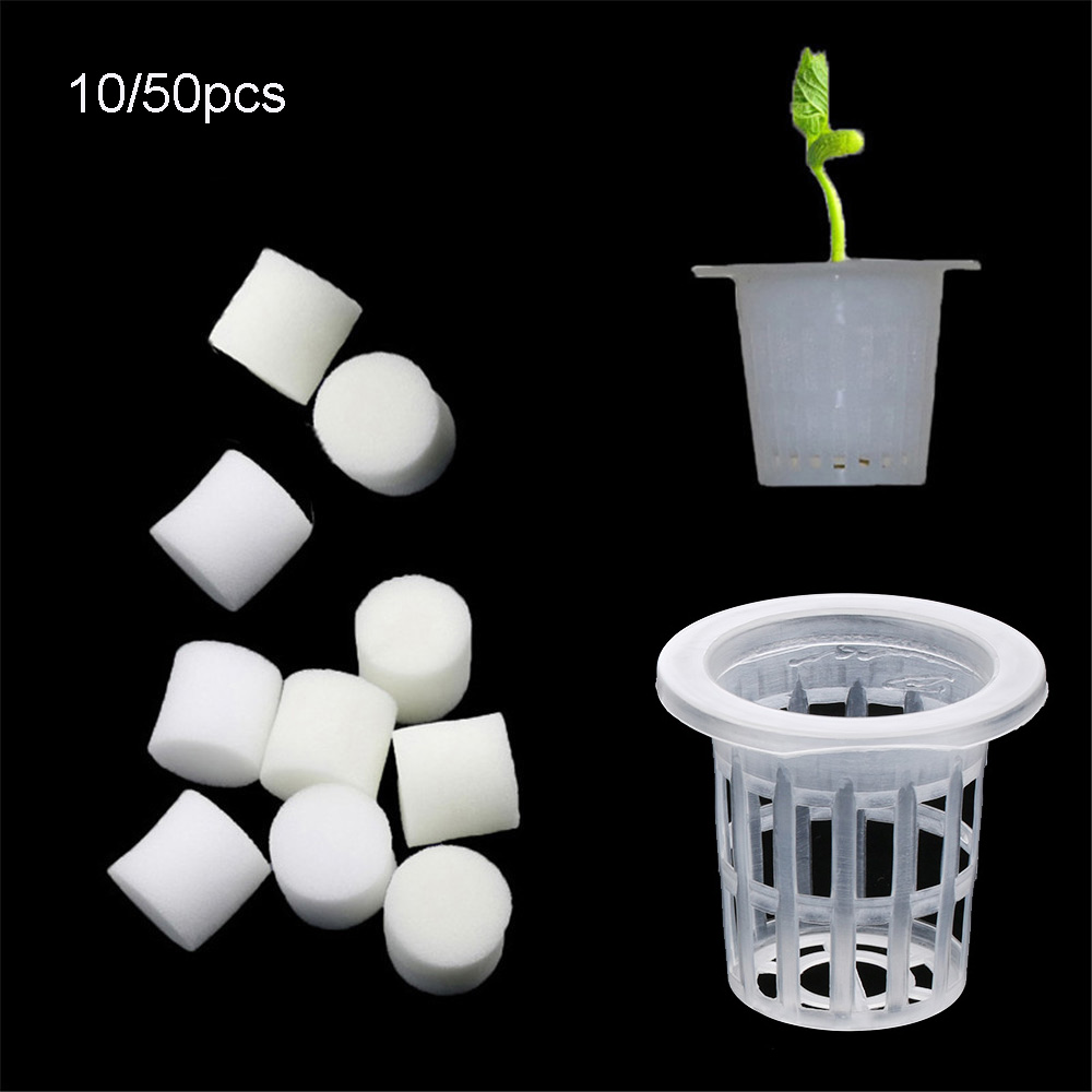 Aquarium Planted Seeds - 10/50 قطعة زراعة متينة حوض السمك