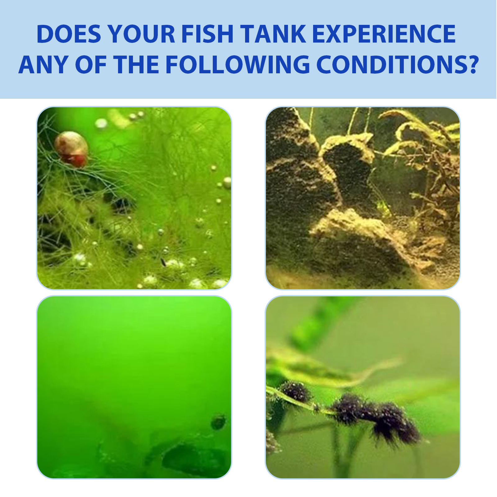 مسحوق التحكم في طحالب حوض السم - مراجعة Planted Aquarium Algae Control وسعره
