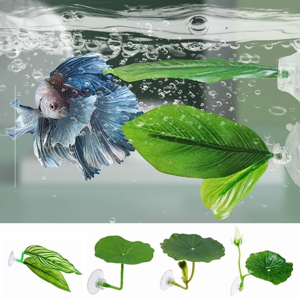 أوراق مسند سمك بيتا البلاستيكي - مراجعة Aquarium Plant Rings وسعره