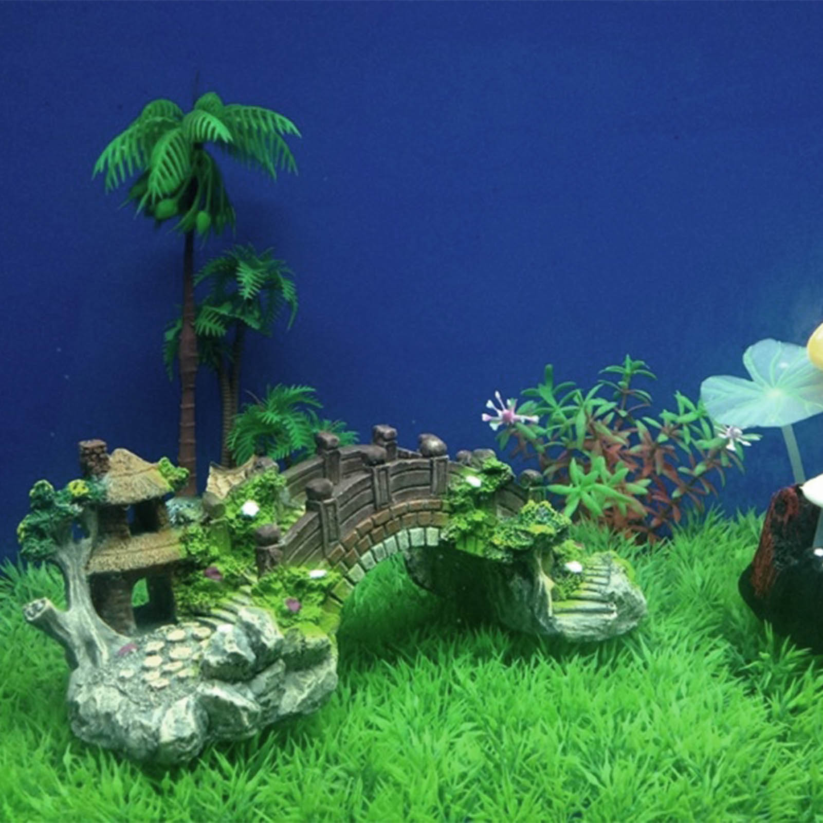 خزان الأسماك جسر اصطناعي الرات - مراجعة Aquarium Planted Seeds وسعره