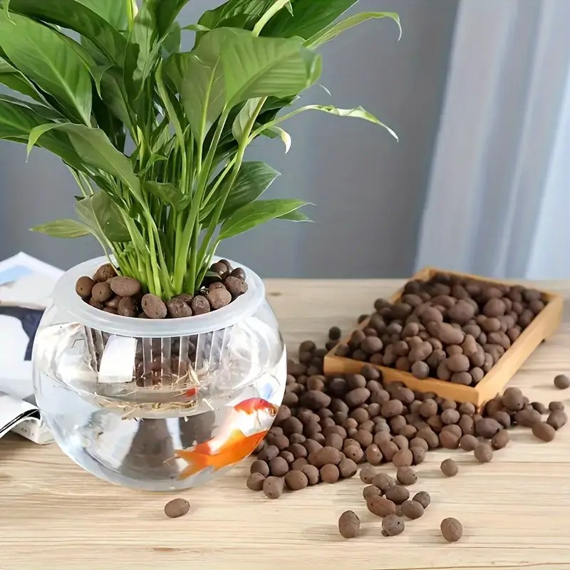 حبيبات تيراكوتا خفيفة الوزن وج - مراجعة Aquarium Plants وسعره