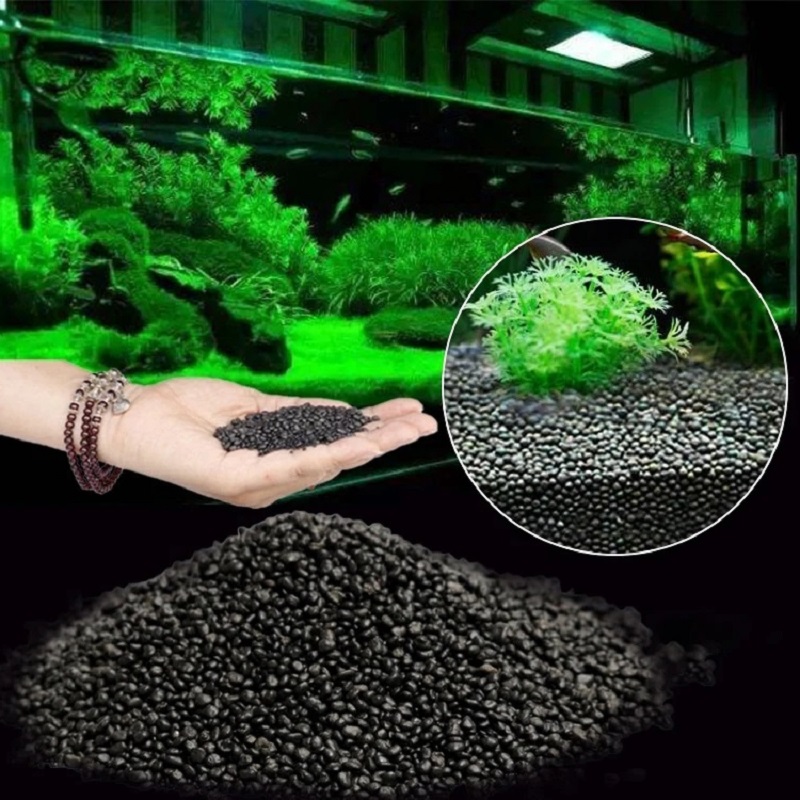 خزان الأسماك المياه العشب الطي - مراجعة Aquarium Planted Seeds وسعره