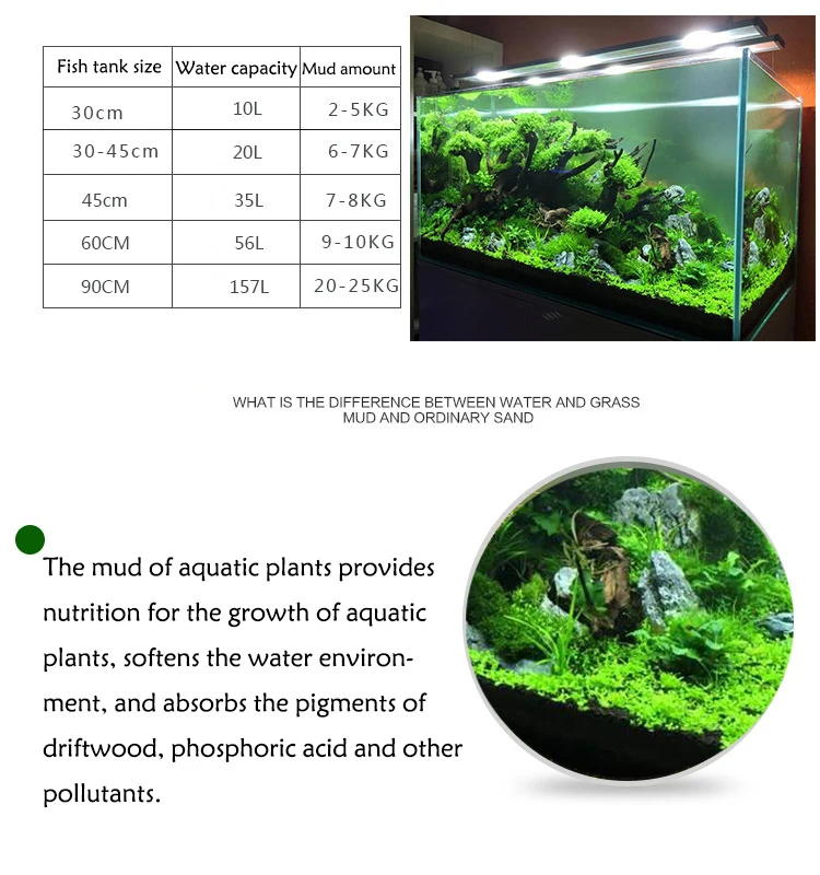 خزان الأسماك المياه العشب الطي - مراجعة Aquarium Planted Seeds وسعره