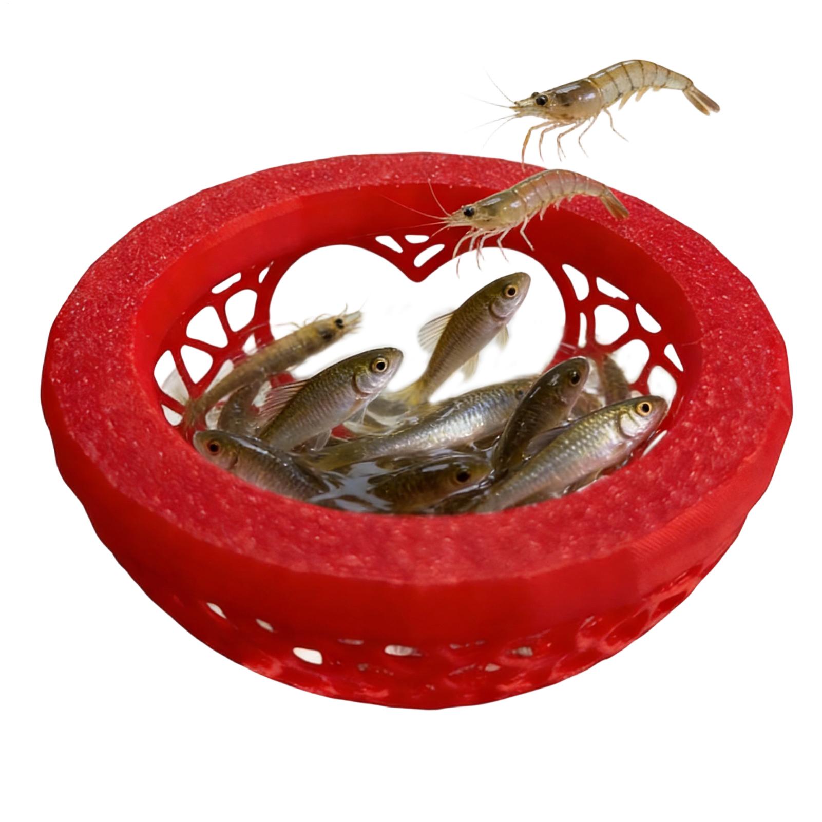 مأوى عائم لسمك البيتا، أرجوحة  - مراجعة Aquarium Plant Rings وسعره