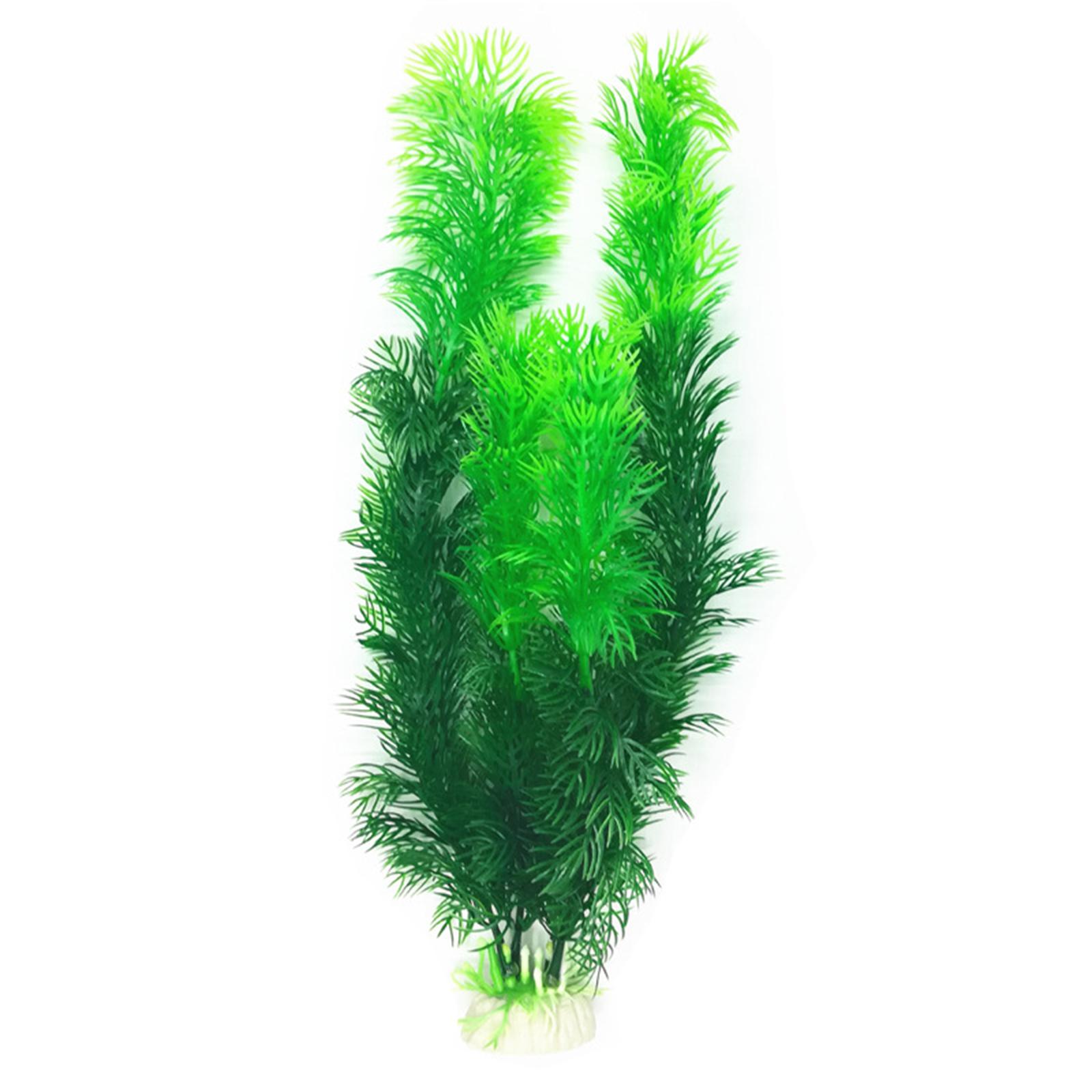 مجموعة نباتات اصطناعية لأحواض  - مراجعة Planted Aquarium Betta وسعره