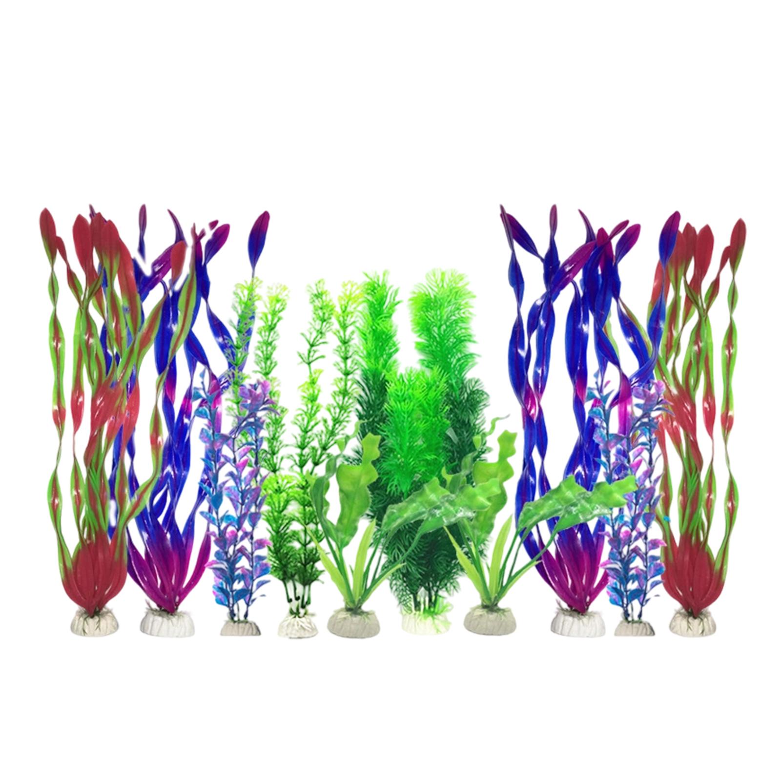 مجموعة نباتات اصطناعية لأحواض  - مراجعة Planted Aquarium Betta وسعره