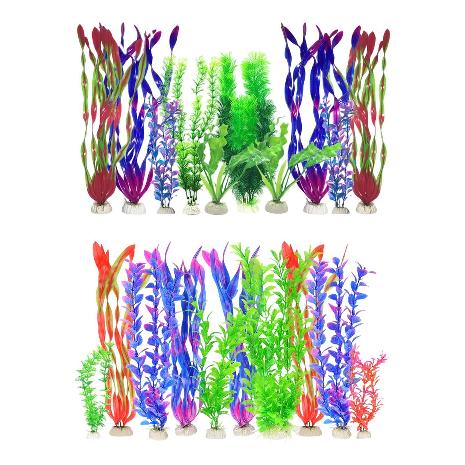 مجموعة نباتات اصطناعية لأحواض  - مراجعة Planted Aquarium Betta وسعره