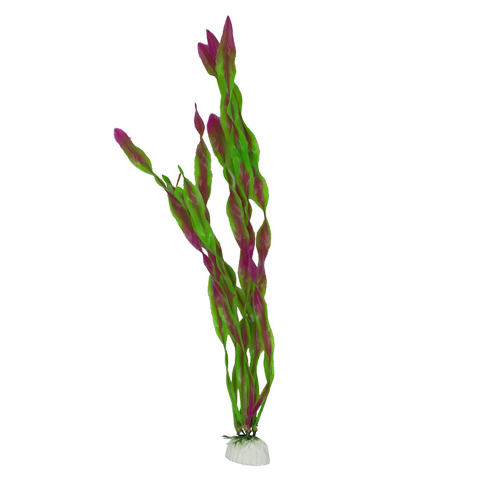مجموعة نباتات اصطناعية لأحواض  - مراجعة Planted Aquarium Betta وسعره