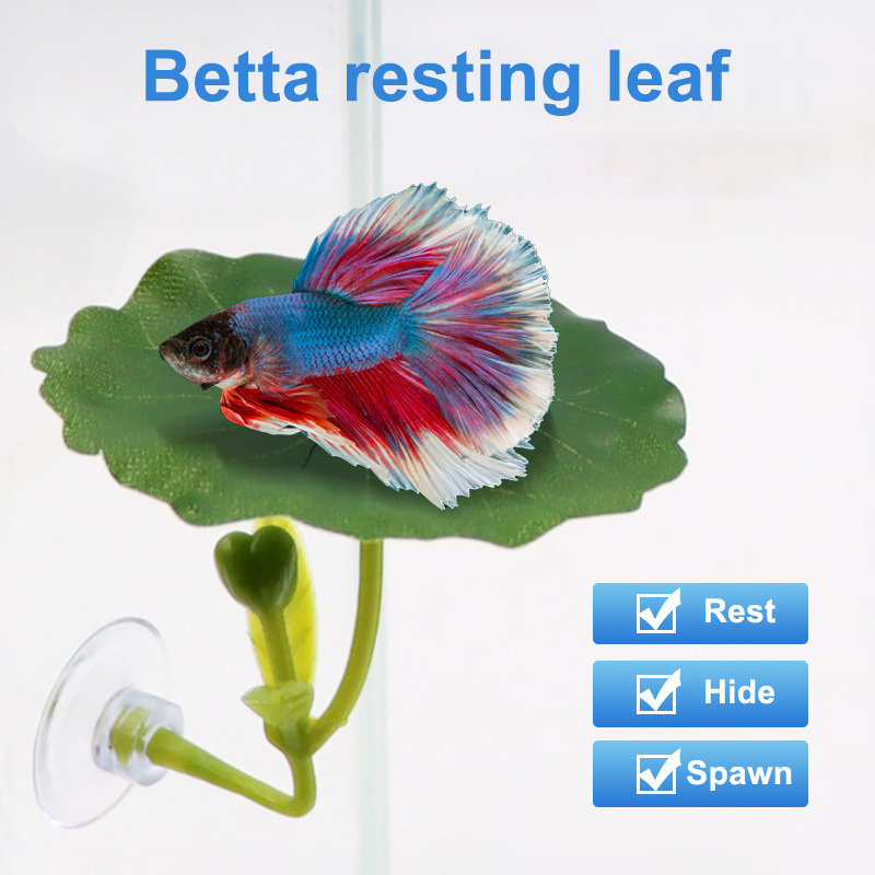 1 قطعة أرجوحة أوراق خضراء لسمك - مراجعة Planted Aquarium Betta وسعره