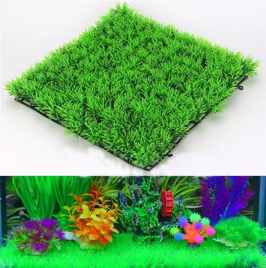 نبات العشب الأخضر الاصطناعي ال - مراجعة Aquarium Planted Seeds وسعره
