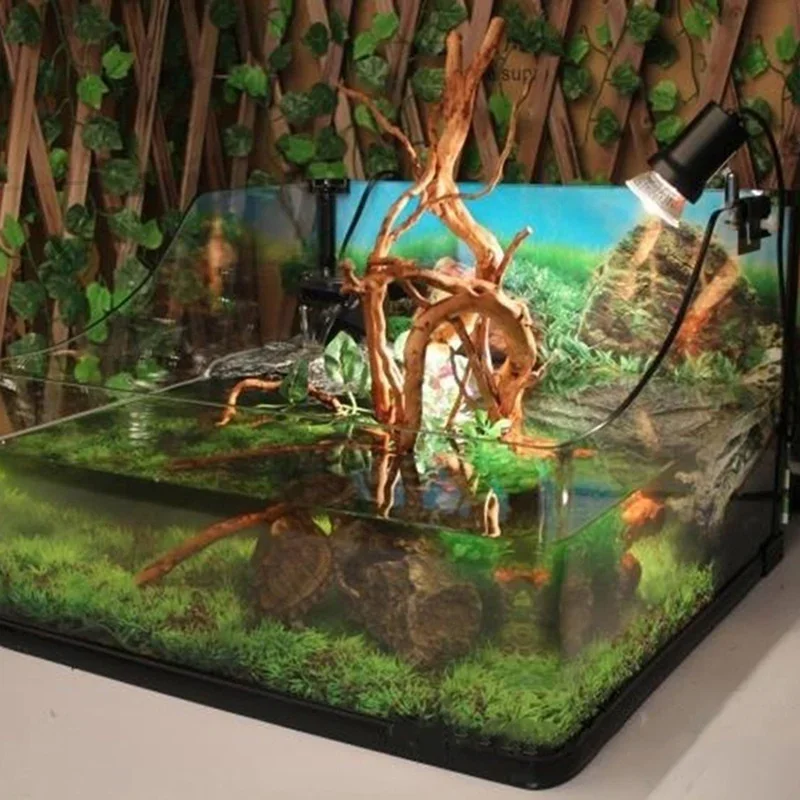 شجرة طبيعية جذع Driftwood لحوض - مراجعة Aquarium Plant Rings وسعره