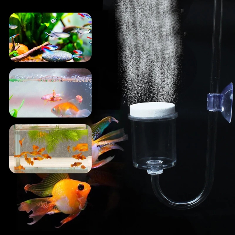 ناشر CO2 لحوض السمك ، خزان زجا - مراجعة Aquarium Plant Vine وسعره