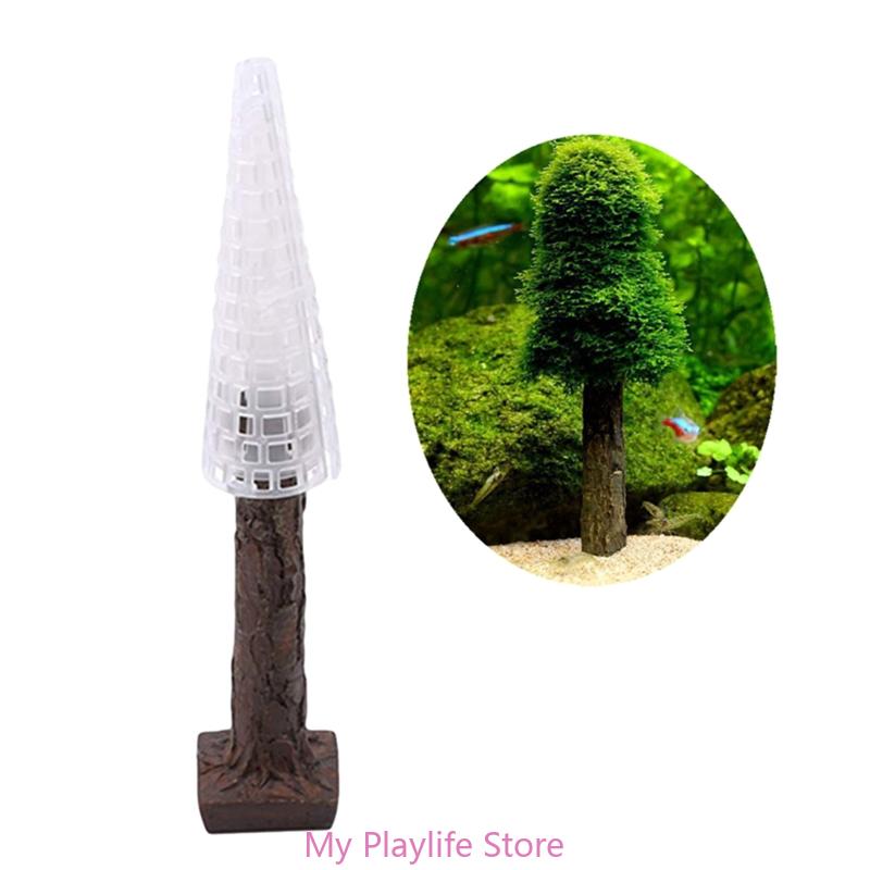 زينة طحلب حوض أسماك ، حامل نبا - مراجعة Aquarium For Planted Tank وسعره