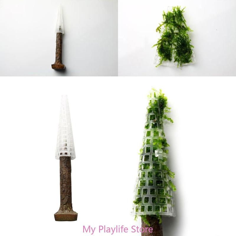 زينة طحلب حوض أسماك ، حامل نبا - مراجعة Aquarium For Planted Tank وسعره