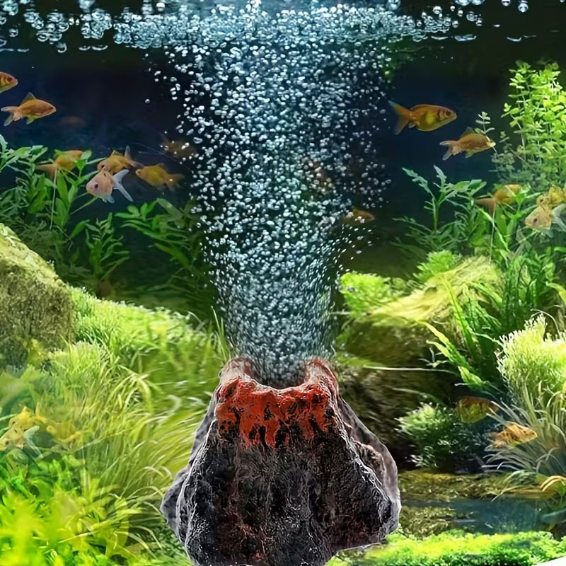 حجر فقاعات بركاني لأحواض السمك - مراجعة Aquarium Planted Seeds وسعره