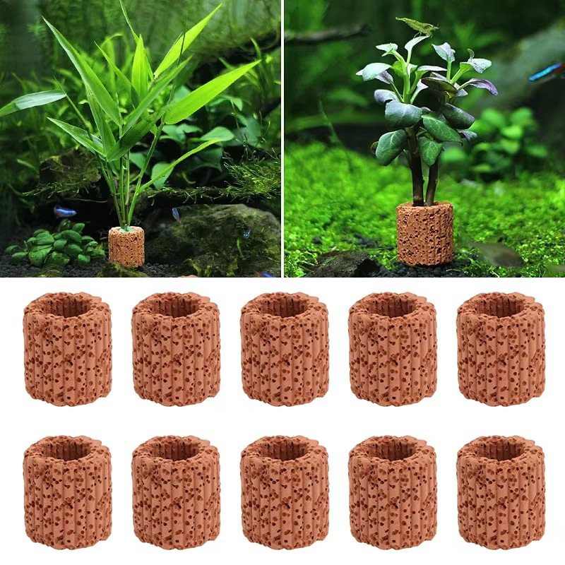 حلقة ثابتة للنباتات المائية لح - مراجعة Aquarium Planted Seeds وسعره