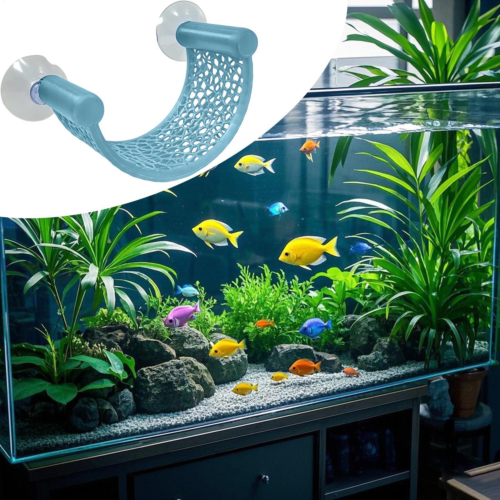 أرجوحة عائمة لأسماك البيتا، من - مراجعة Aquarium Plant Rings وسعره