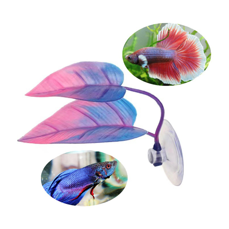 نباتات مائية اصطناعية لتزيين أ - مراجعة Planted Aquarium Betta وسعره
