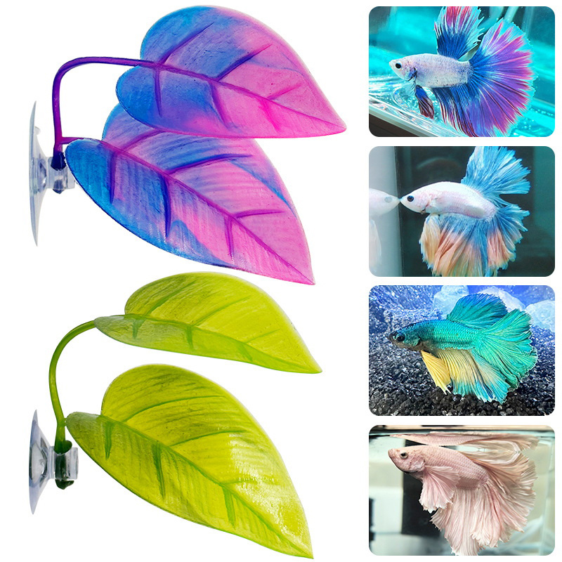 نباتات مائية اصطناعية لتزيين أ - مراجعة Planted Aquarium Betta وسعره