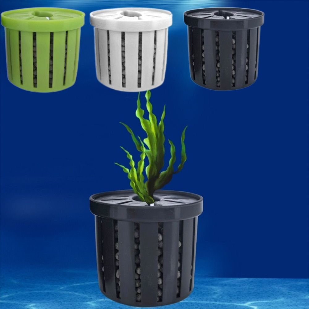 4 قطعة حامل نباتات المياه خزان - مراجعة Aquarium For Planted Tank وسعره