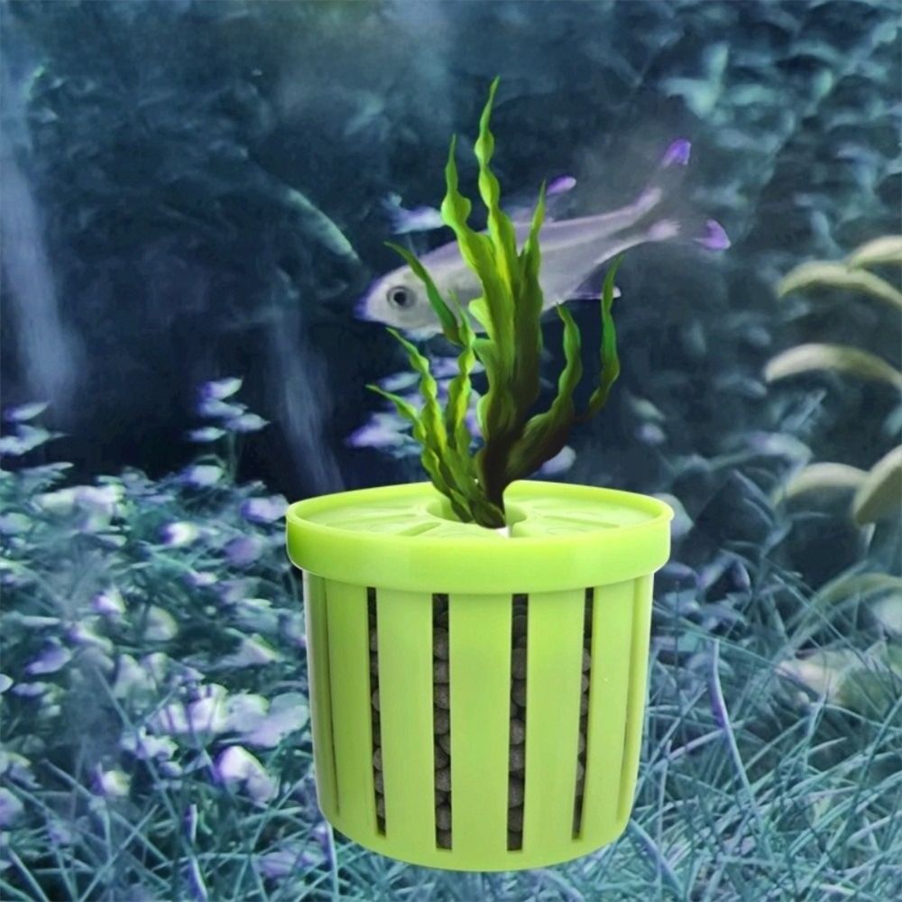 4 قطعة حامل نباتات المياه خزان - مراجعة Aquarium For Planted Tank وسعره