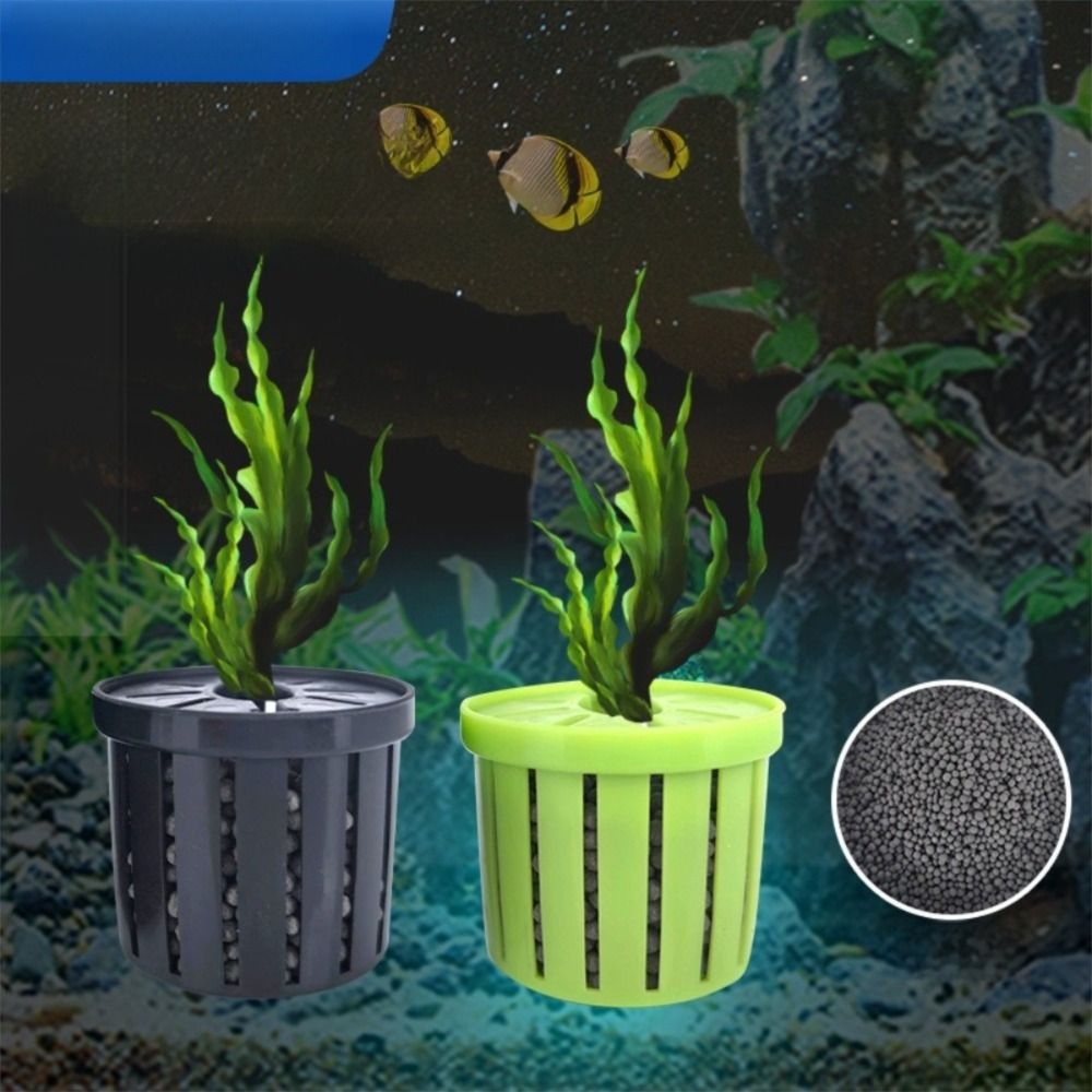 4 قطعة حامل نباتات المياه خزان - مراجعة Aquarium For Planted Tank وسعره