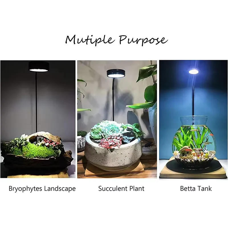 إضاءة LED كاملة الطيف مع لوحة  - مراجعة Planted Aquarium Betta وسعره