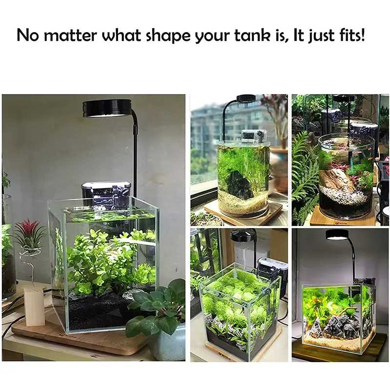 إضاءة LED كاملة الطيف مع لوحة  - مراجعة Planted Aquarium Betta وسعره