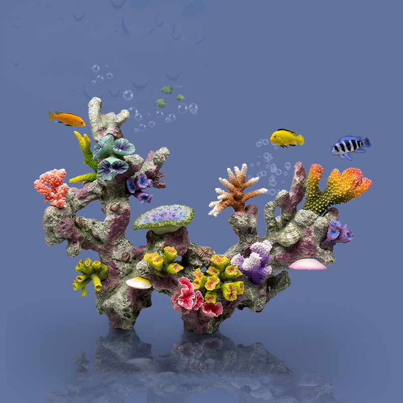 بيتا حوض السمك الحلي الكبيرة ا - مراجعة Planted Aquarium Betta وسعره