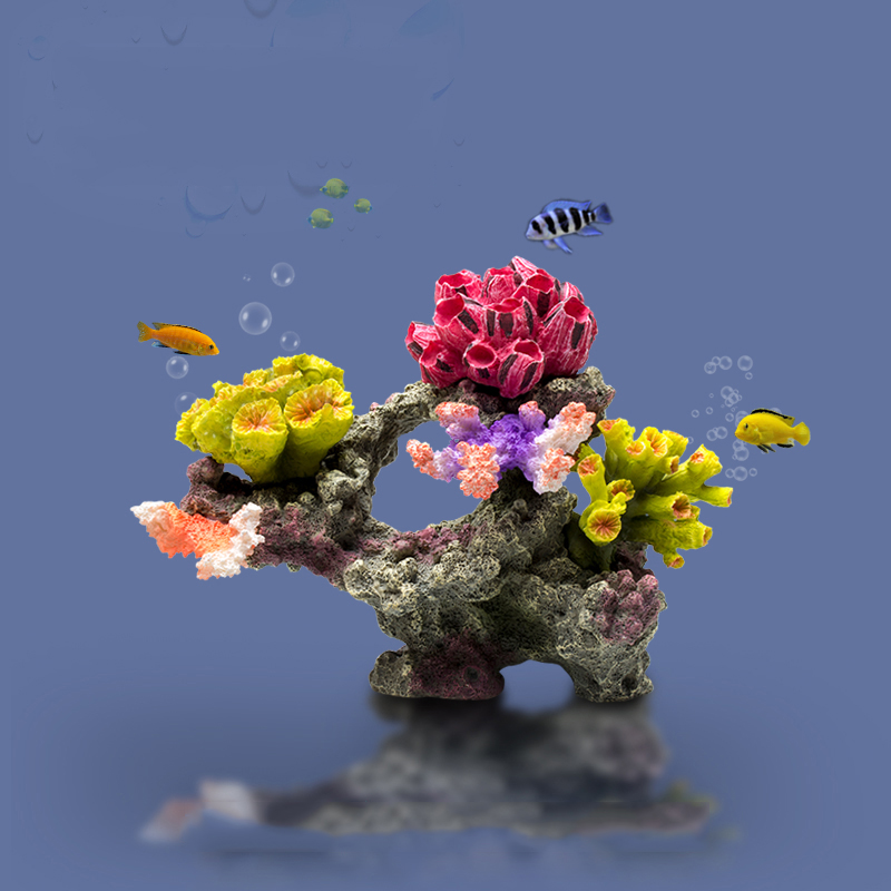 بيتا حوض السمك الحلي الكبيرة ا - مراجعة Planted Aquarium Betta وسعره