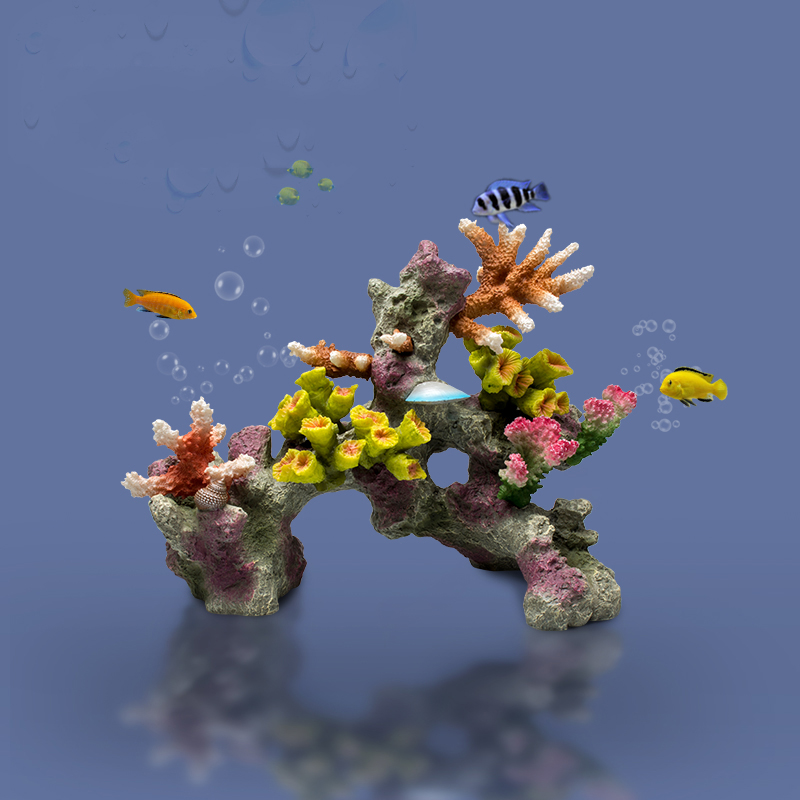 بيتا حوض السمك الحلي الكبيرة ا - مراجعة Planted Aquarium Betta وسعره