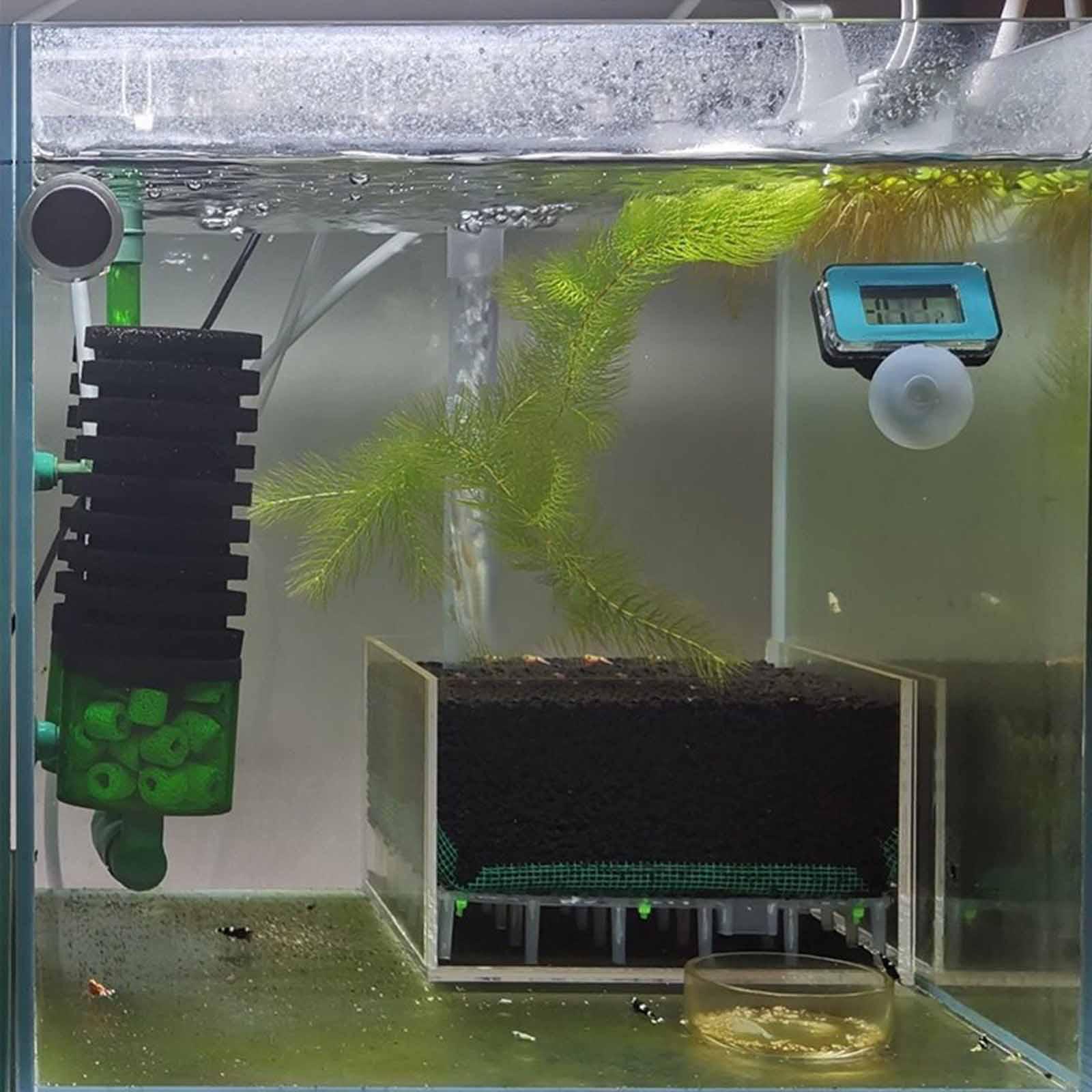 صندوق فلتر حوض أسماك شفاف من ا - مراجعة Planted Aquarium Undergravel Filter وسعره