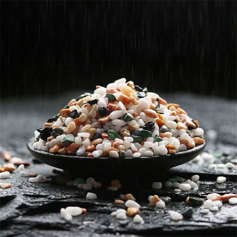 50/100 جرام بلورات طبيعية الحص - مراجعة Aquarium Planted Seeds وسعره