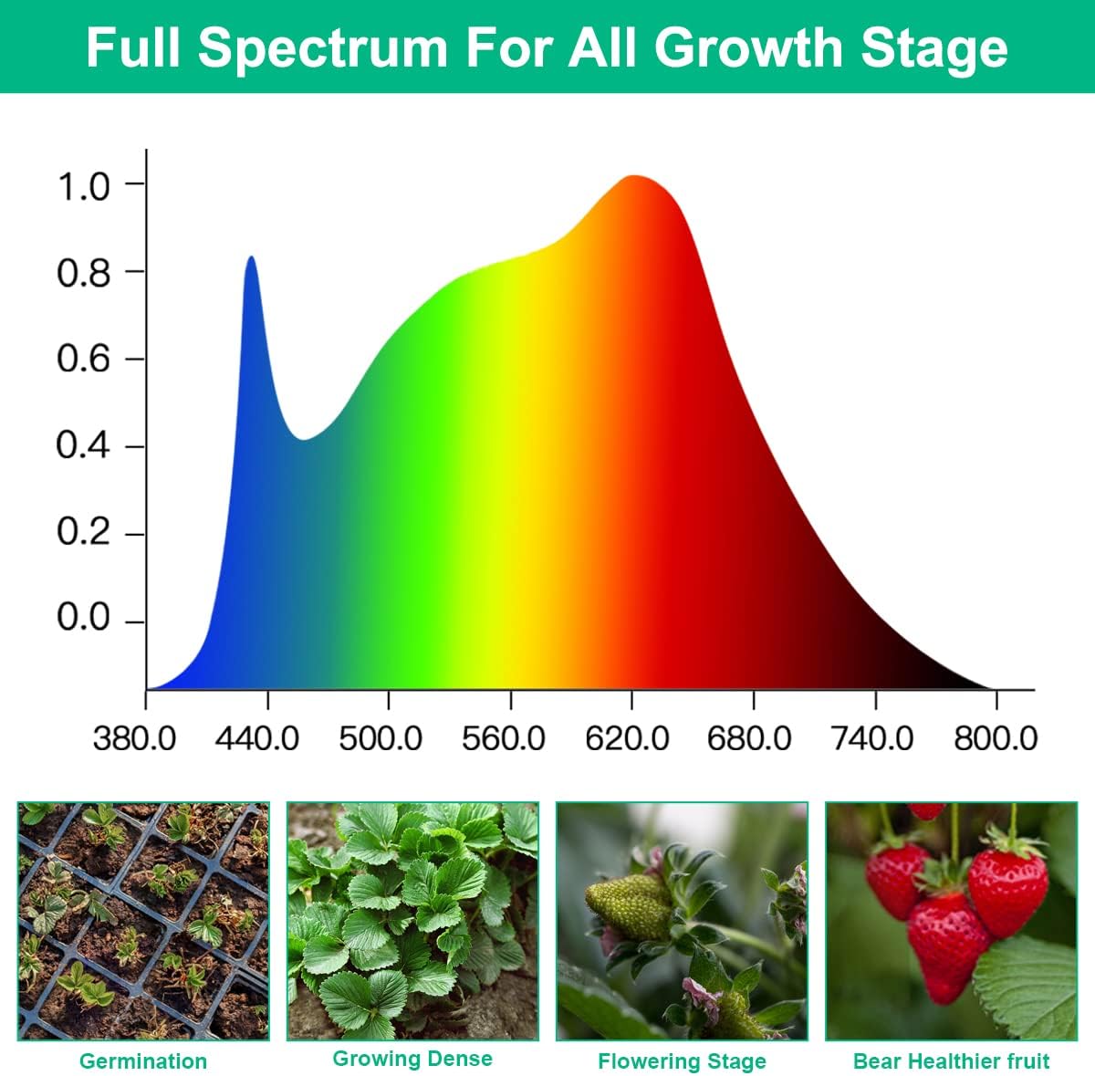 LED تنمو مصابيح النبات الطيف ا - مراجعة Aquarium Planted Seeds وسعره