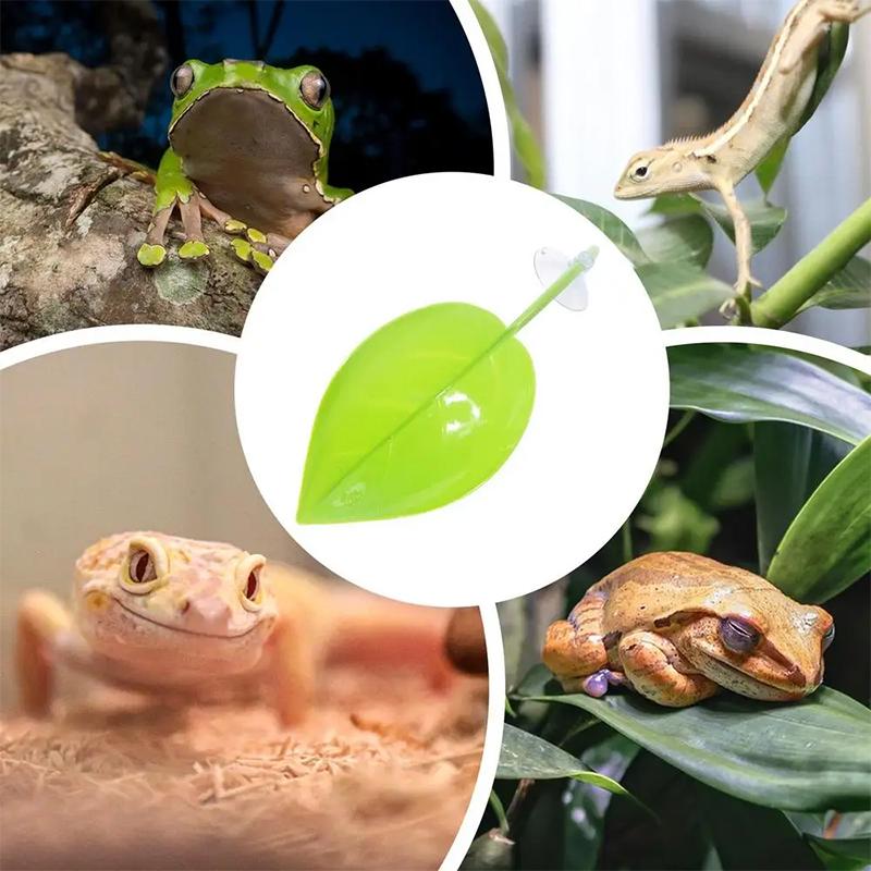 إكسسوارات حوض السمك، سرير سمك  - مراجعة Planted Aquarium Betta وسعره