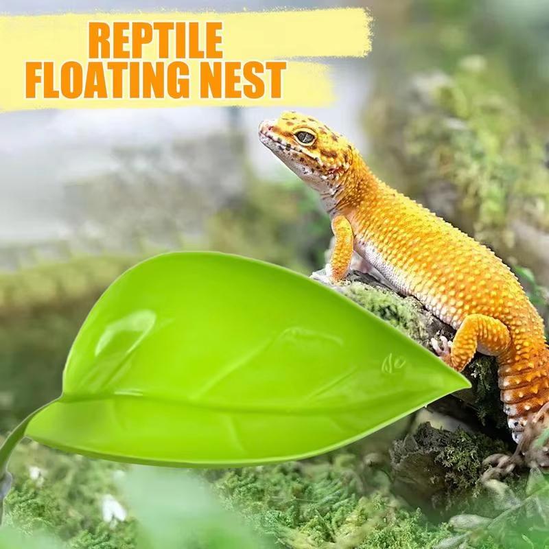 إكسسوارات حوض السمك، سرير سمك  - مراجعة Planted Aquarium Betta وسعره