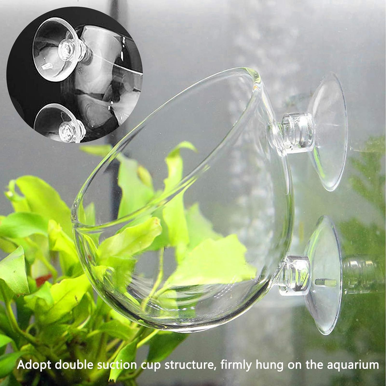 وعاء زجاجي للنباتات المائية مع - مراجعة Aquarium Plant Vine وسعره