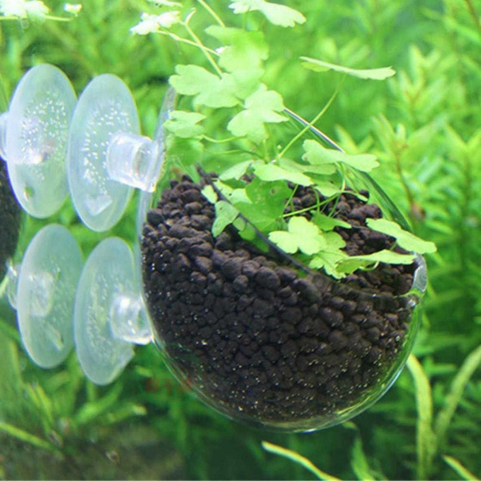 وعاء زجاجي للنباتات المائية مع - مراجعة Aquarium Plant Vine وسعره