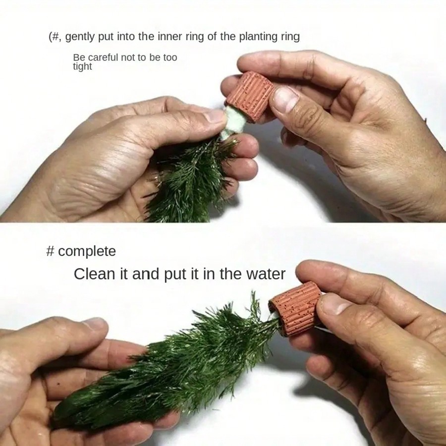 حلقات تثبيت نباتات حوض السمك ع - مراجعة Aquarium Plant Rings وسعره