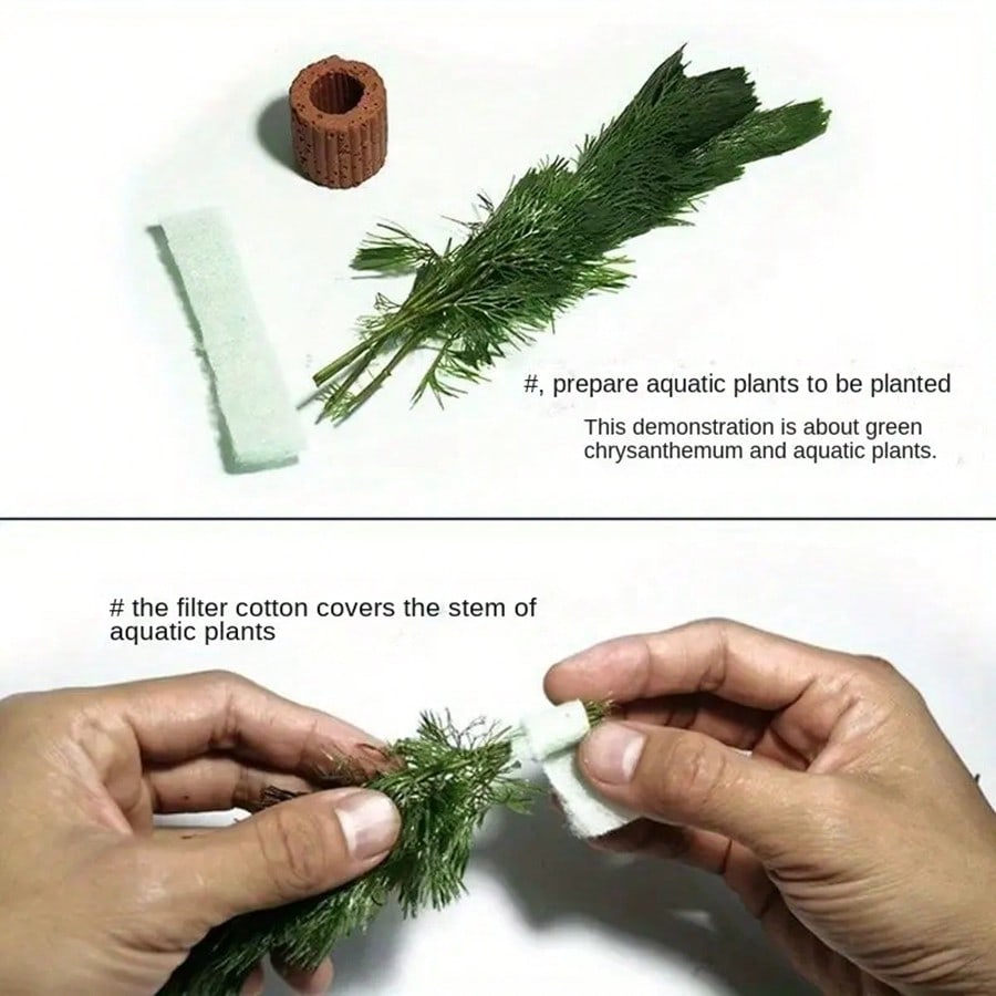 حلقات تثبيت نباتات حوض السمك ع - مراجعة Aquarium Plant Rings وسعره